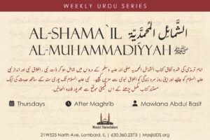 urdushamail
